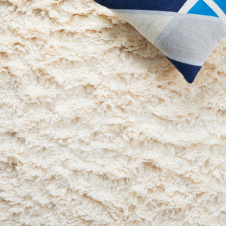 Safavieh Casablanca Collection CSB701A Rug, Ivory, 6' x 9'