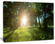 Sunny Day in Green Forest Meadow, Oversized Landscape Canvas Art, 60"x28"