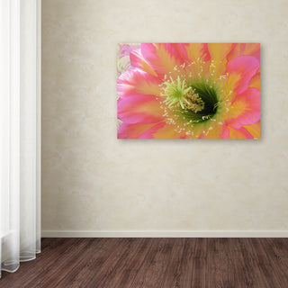 Tina Lavoie 'Paradisum II' Canvas Art, 22" x 32"