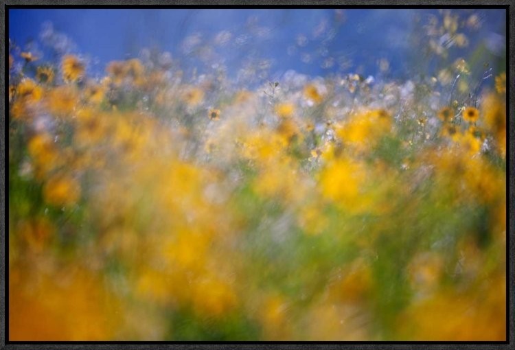 "A Tribute To Monet" Framed Canvas Giclee by Andrew George, 23x16"