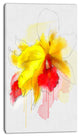 Yellow Iris Flower with Red Splashes, Floral Canvas Art Print, 16"x32"