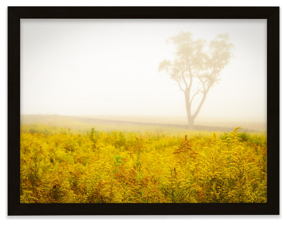 Dreams of Goldenrod and Fog Landscape Framed Photo Paper Wall Art Prints, Black, 16" X 20"
