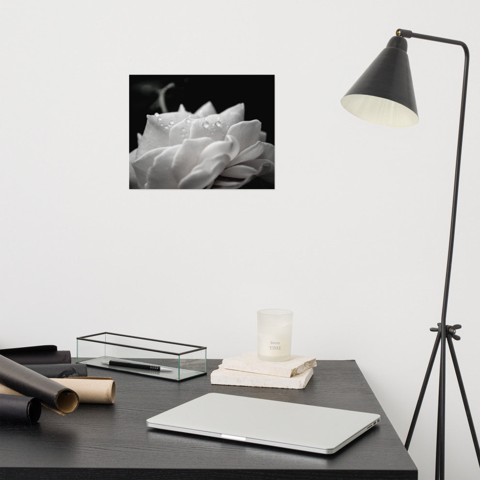 Delicate Rose Black & White Nature Photo Floral Unframed Wall Art Print, 11" X 14"