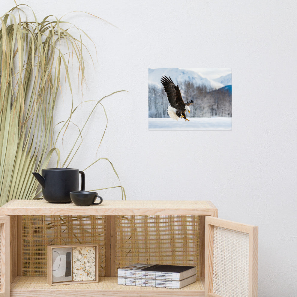 Adult Bald Eagle Alaskan Winter Animal Wildlife Photograph Loose Wall Art Print, 12" X 16"