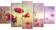 Beautiful Poppy Flower Garden, Floral Canvas Art Print, 60"x32", 5 Panels
