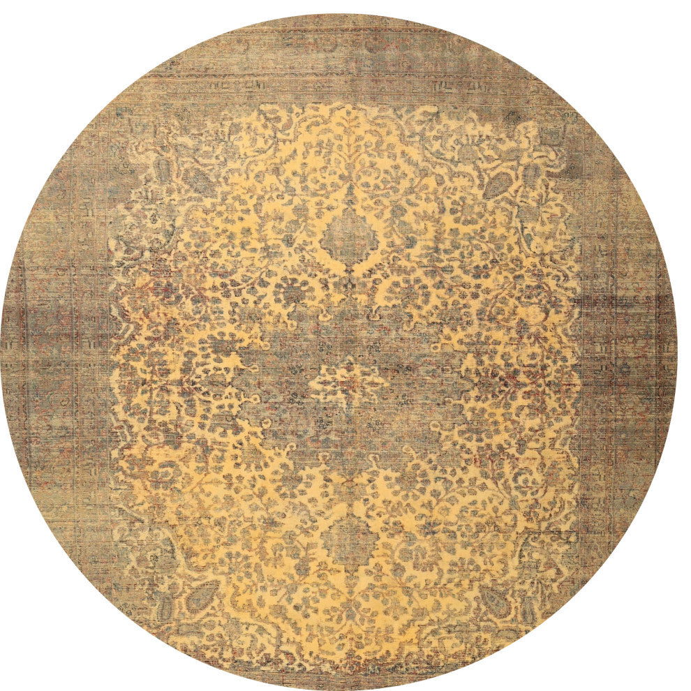 Ahgly Company Indoor Round Traditional Area Rugs, 3' Round