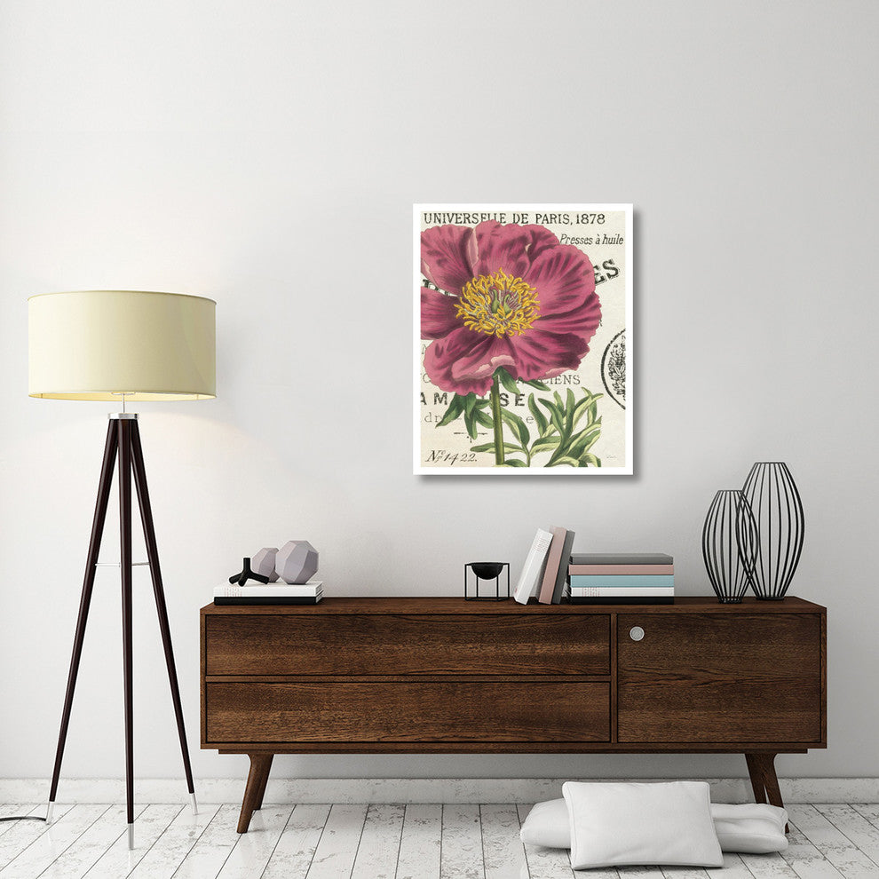 "Peony Botany" Digital Paper Print by Sue Schlabach, 30"x37"