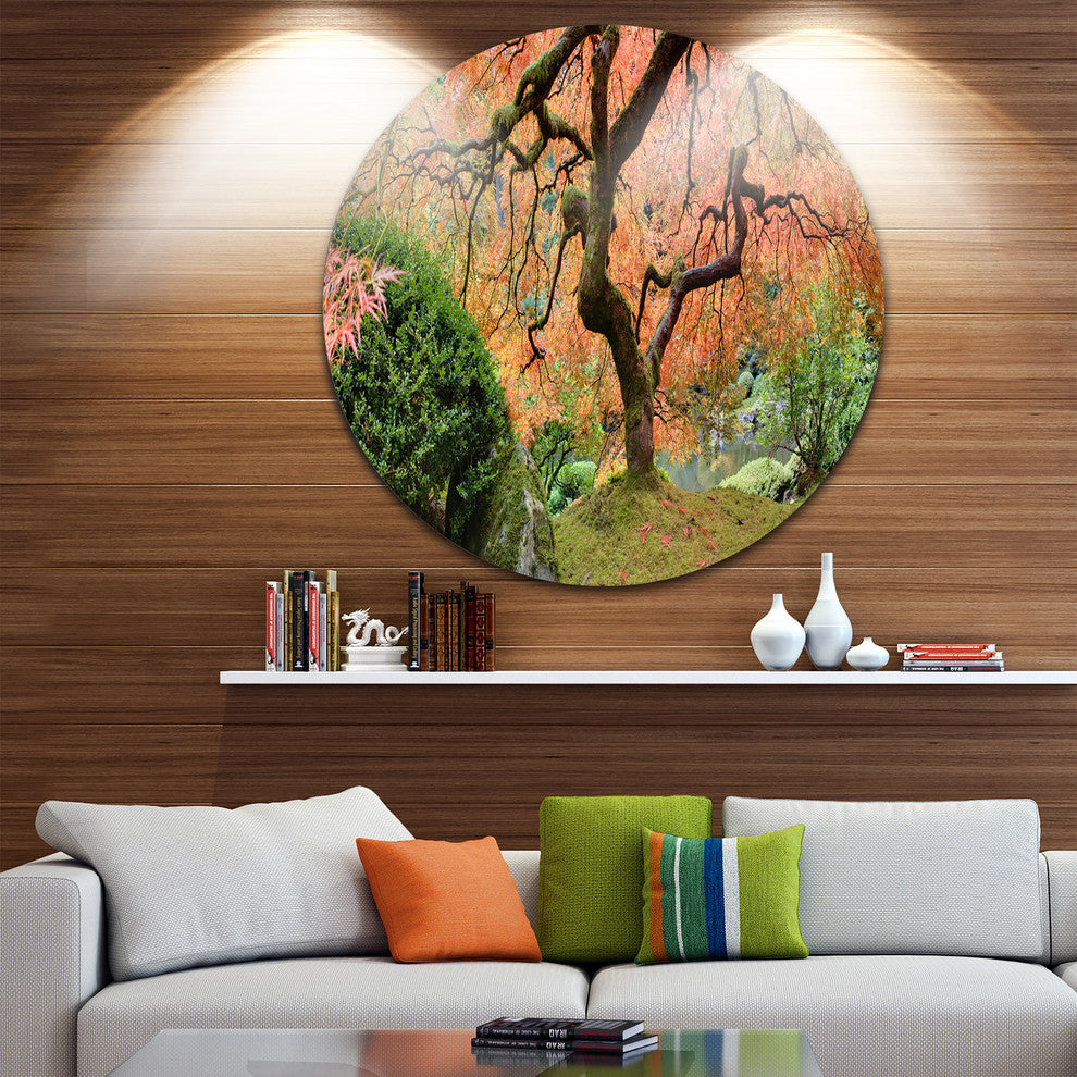 Old Japanese Maple Tree, Landscape Photography Round Metal Artwork, 23"