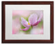 Cora Niele 'Pink Anemone' Matted Framed Art