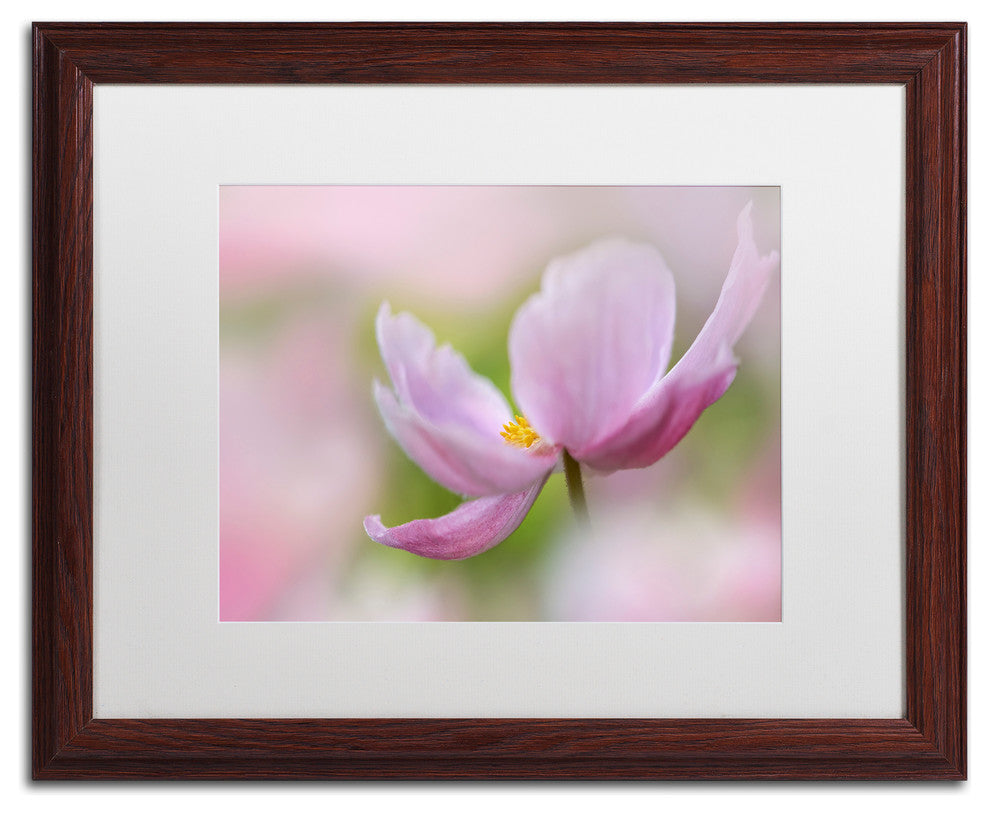 Cora Niele 'Pink Anemone' Matted Framed Art