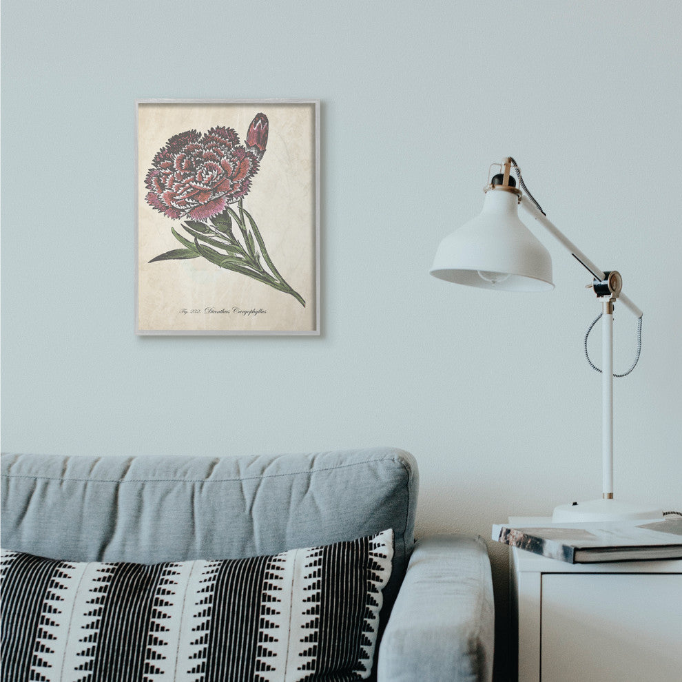 Botanical Carnation Flower Drawing Red Green Design, 16"x20", Gray Frame