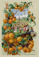 Childs Golden Japanese May Berry - Fine Art Giclee Print 24" x 36"