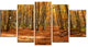 Colorful Fall Forest with Fallen Leaves, Forest Canvas Art, 60"x32", 5 Panels
