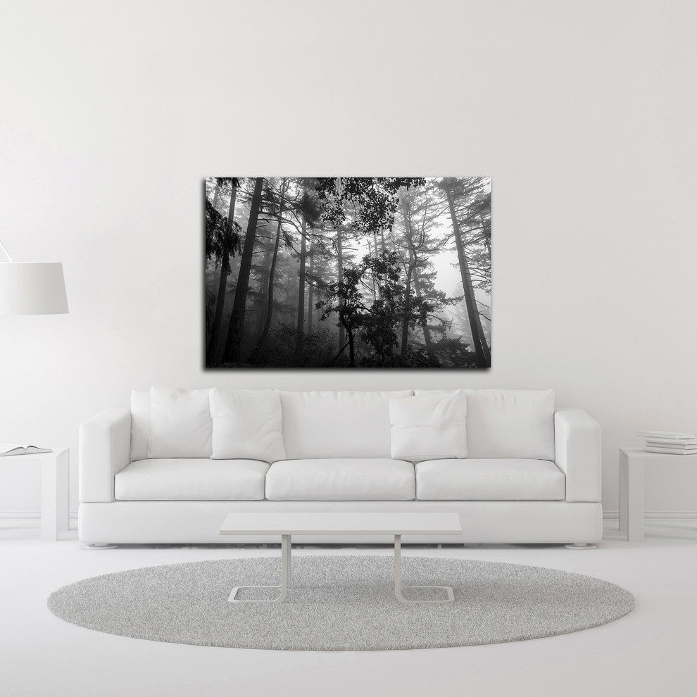 Misty Forest by Tim Oldford, Print on Canvas, 45"x30"