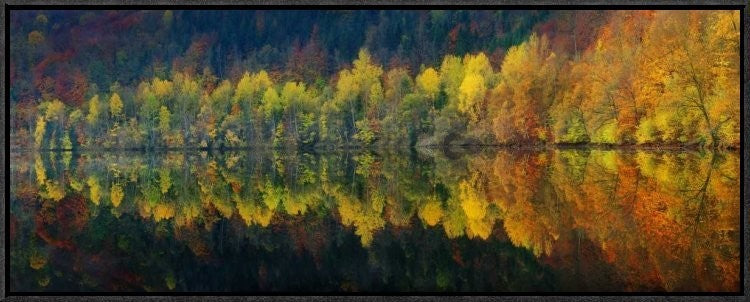 "Autumnal Silence" Framed Canvas Giclee by Burger Jochen, 31x12"