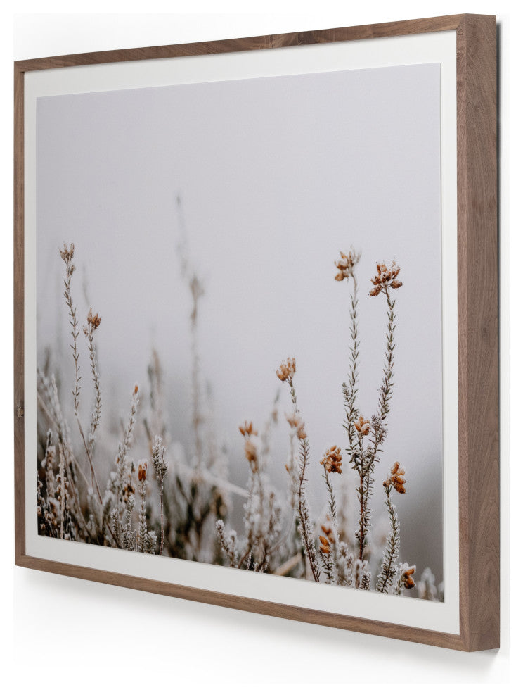 In The Details Ii By Annie Spratt