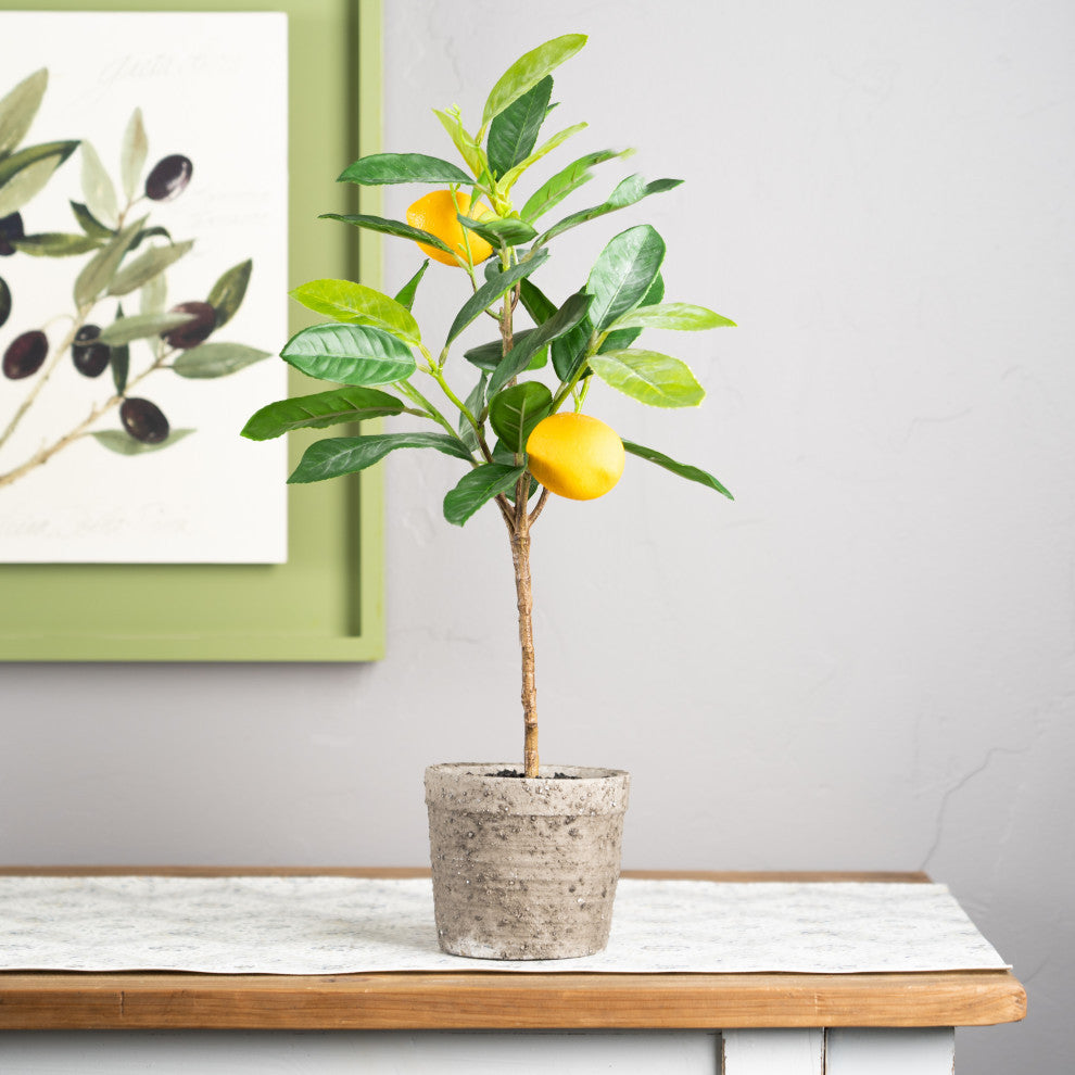Potted Lemon Tree, 2-Piece Set