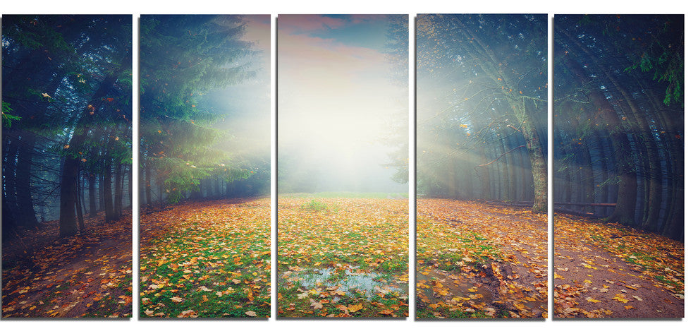 "Rising Sun Over Arched Forest" Landscape Photo Wall Art, 5 Panels, 60"x28"