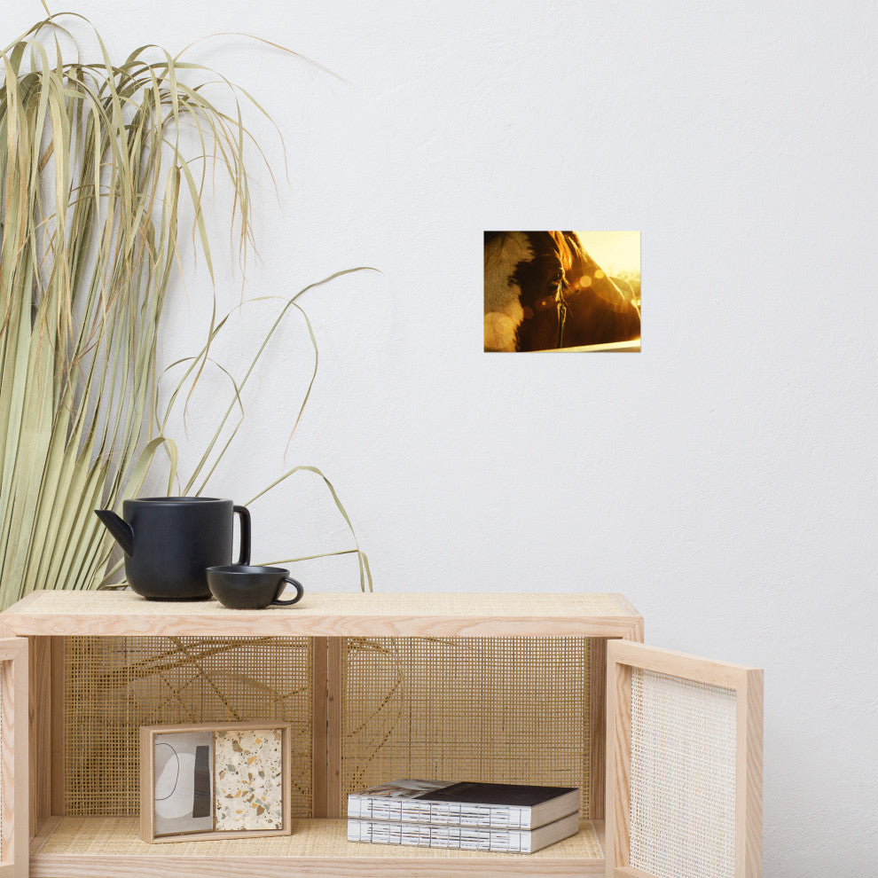 Evening Flare Horse Photograph Unframed Wall Art Print, 8" X 10"