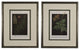 Original Vintage 1925 Botanical Fern Framed Prints, Set of 2
