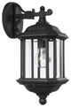 Generation Lighting Lighting 1-Light Outdoor Lantern, Black