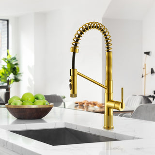 Nette Single-Handle Kitchen Faucet With Pull Down Sprayer, Brushed Gold