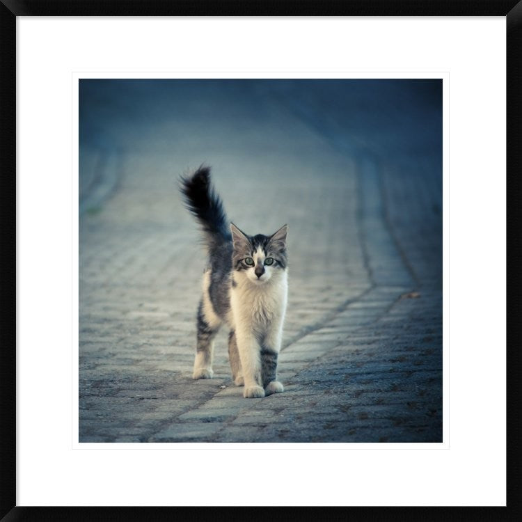 "Little One" Framed Digital Print by Dejan Ilijic, 26"x26"