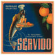 "Servido Selected Oranges" Digital Paper Print by Retrolabel, 42"x42"