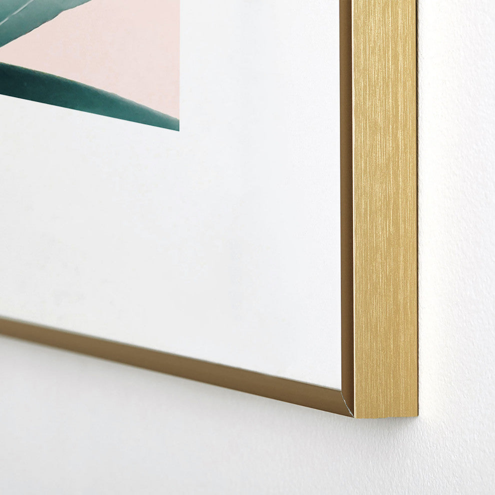 Gale Switzer Agave Flare II peach Metal Framed Art Print
