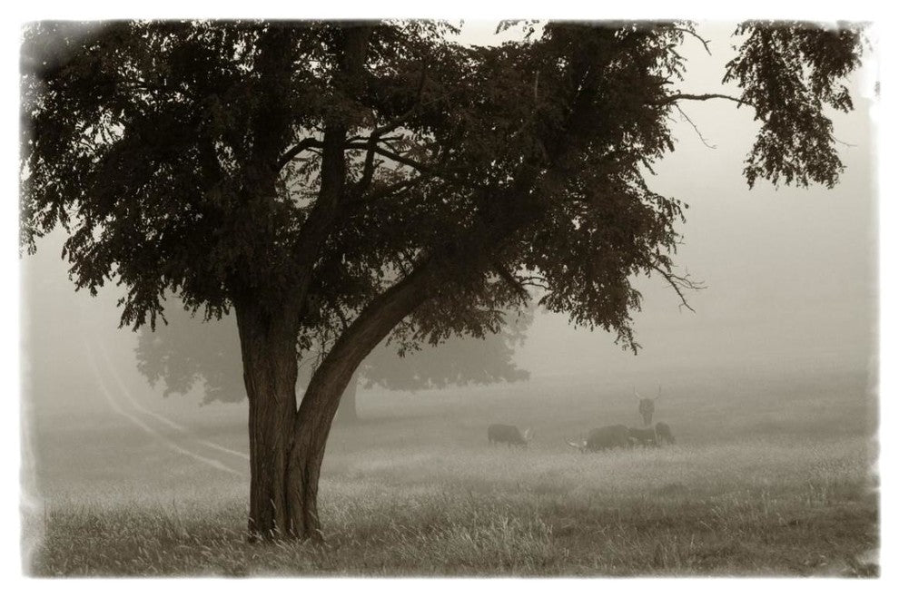 "Calm Mist" Digital Paper Print by Debra Van Swearingen, 32"x22"