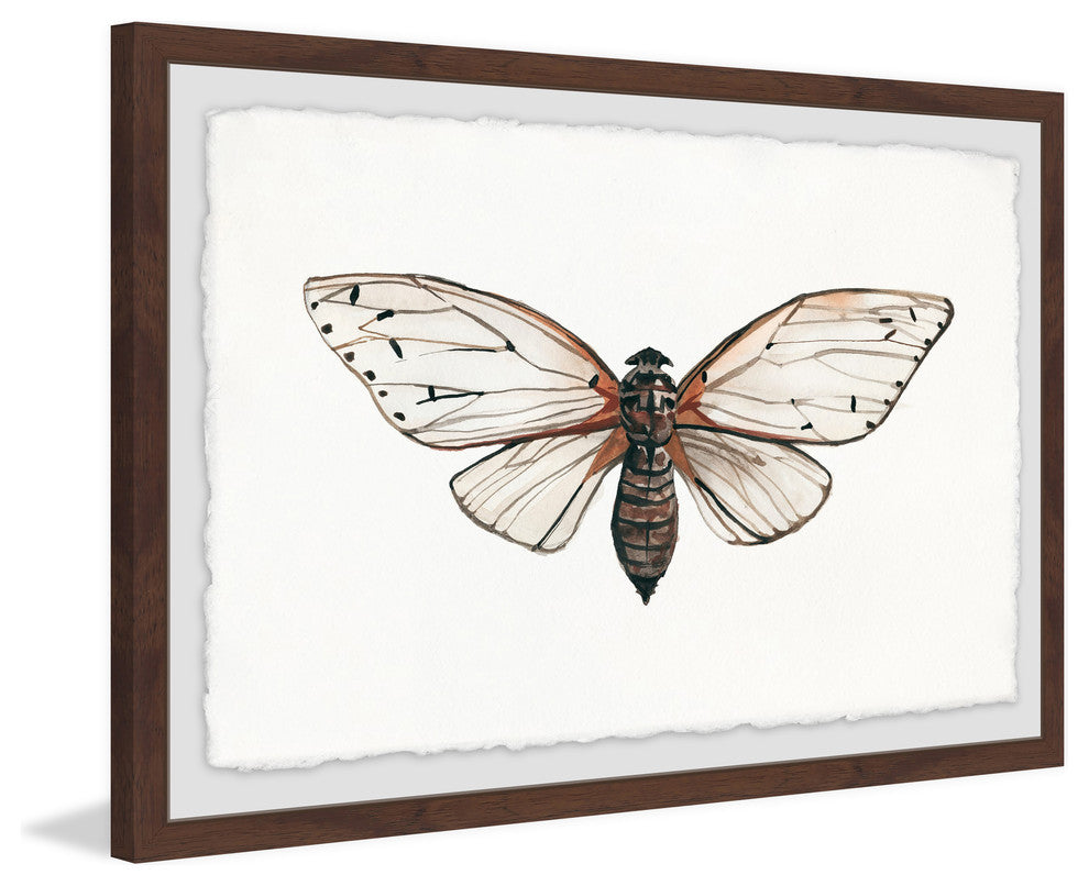 "Tan Butterfly" Framed Painting Print, 36"x24"