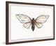 "Tan Butterfly" Framed Painting Print, 36"x24"