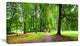 Park in Autumn Panorama, Landscape Canvas Art Print, 60"x28"