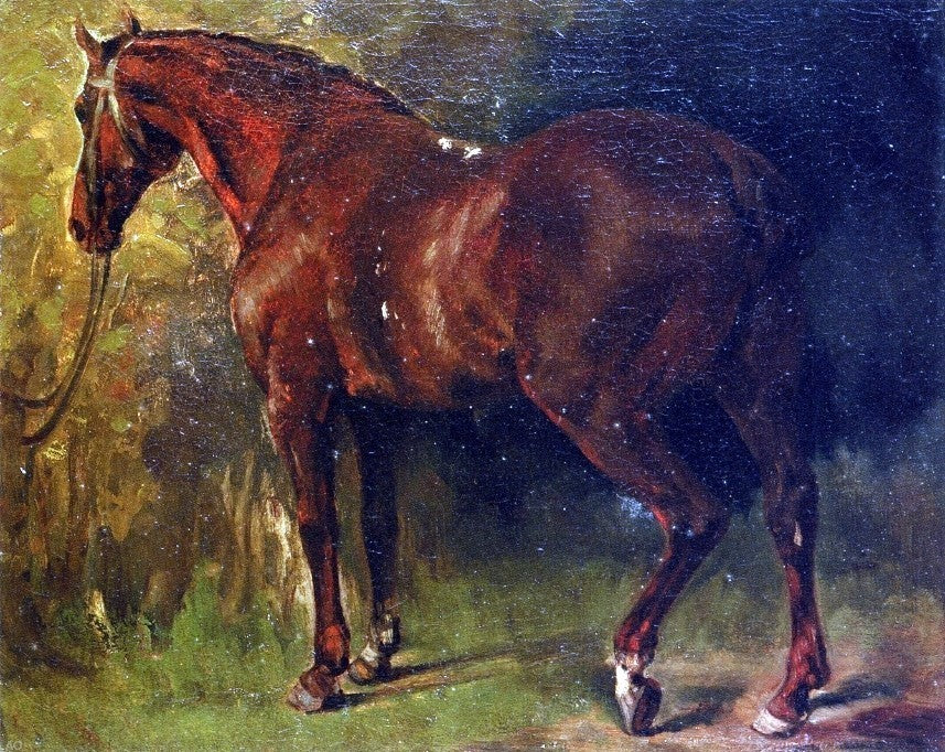 Gustave Courbet The English Horse of M. Duval - 20" x 25" Premium Canvas Print