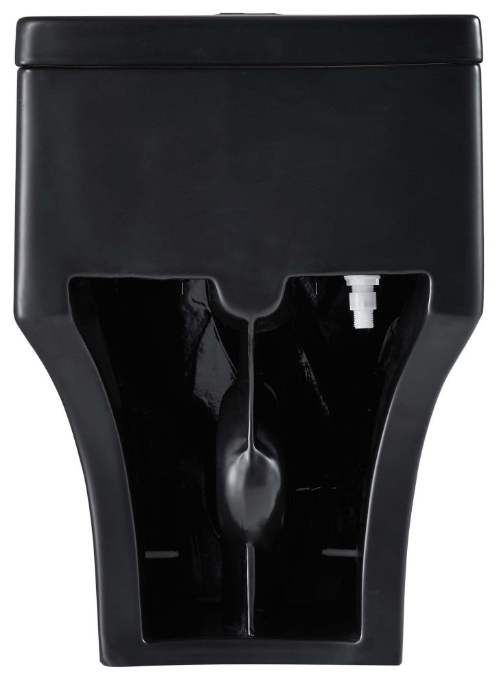 Fine Fixtures Dual-Flush Elongated One-Piece Toilet, Black Matte