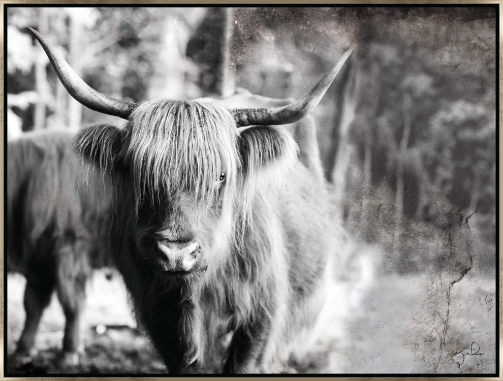 40x30 Highland VI, Framed Artwork, Silver