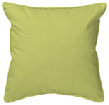 Green Treefrog Large Indoor/Outdoor Pillow 18x18