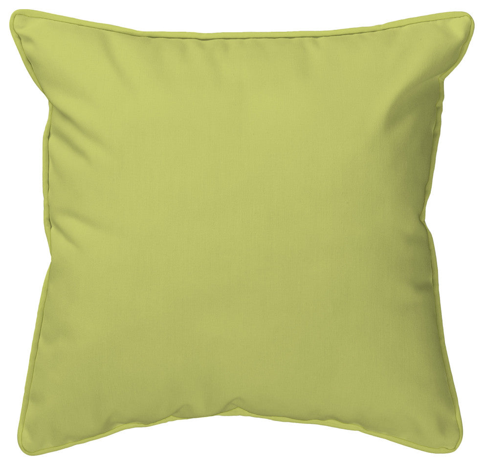 Green Treefrog Large Indoor/Outdoor Pillow 18x18
