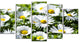 Spring Background with White Flowers, Floral Canvas Print, 60"x32", 5 Panels