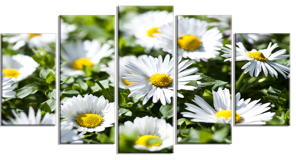 Spring Background with White Flowers, Floral Canvas Print, 60"x32", 5 Panels