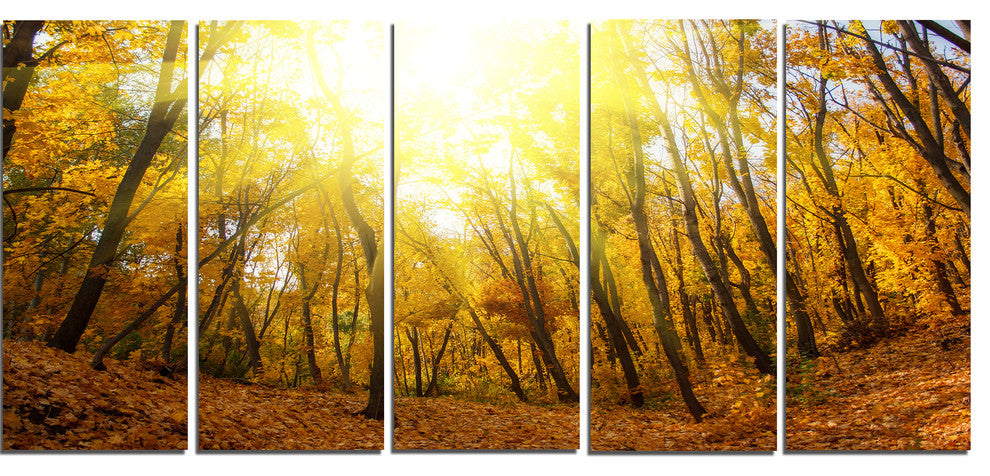 Yellow Autumn Forest in Sunlight, Forest Canvas Art Print, 60"x28", 5 Panels