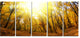 Yellow Autumn Forest in Sunlight, Forest Canvas Art Print, 60"x28", 5 Panels