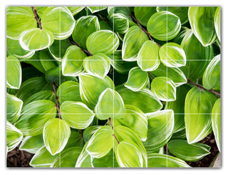 Trees Ceramic Tile Wall Mural HZ501010-43M. 24" x 18"