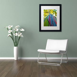 CATeyes 'Rainbow Eucalyptus Tree', Black Frame, White Mat, 20x16