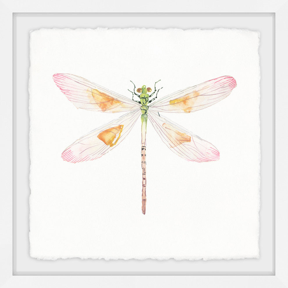 "Translucent Dragonfly" Framed Painting Print, 24"x24"