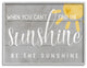 Be the Sunshine Positivity Phrase Charming Sign, 30 x 24