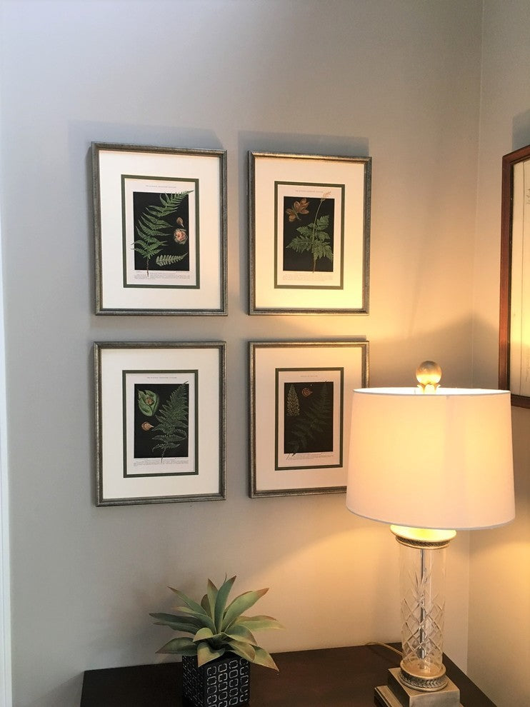 Original Vintage 1925 Botanical Fern Framed Prints, Set of 2