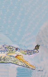 Crocodile and Butterfly Kitchen Microfiber Kitchen Drying Towel 25 Inches