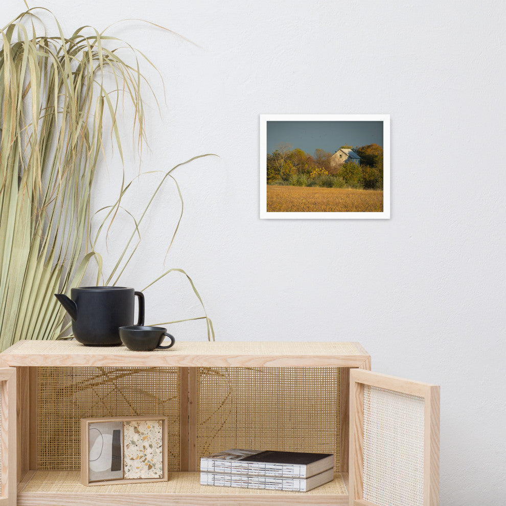Abandoned Barn In The Trees Framed Photo Paper Wall Art Prints, White, 11" X 14"