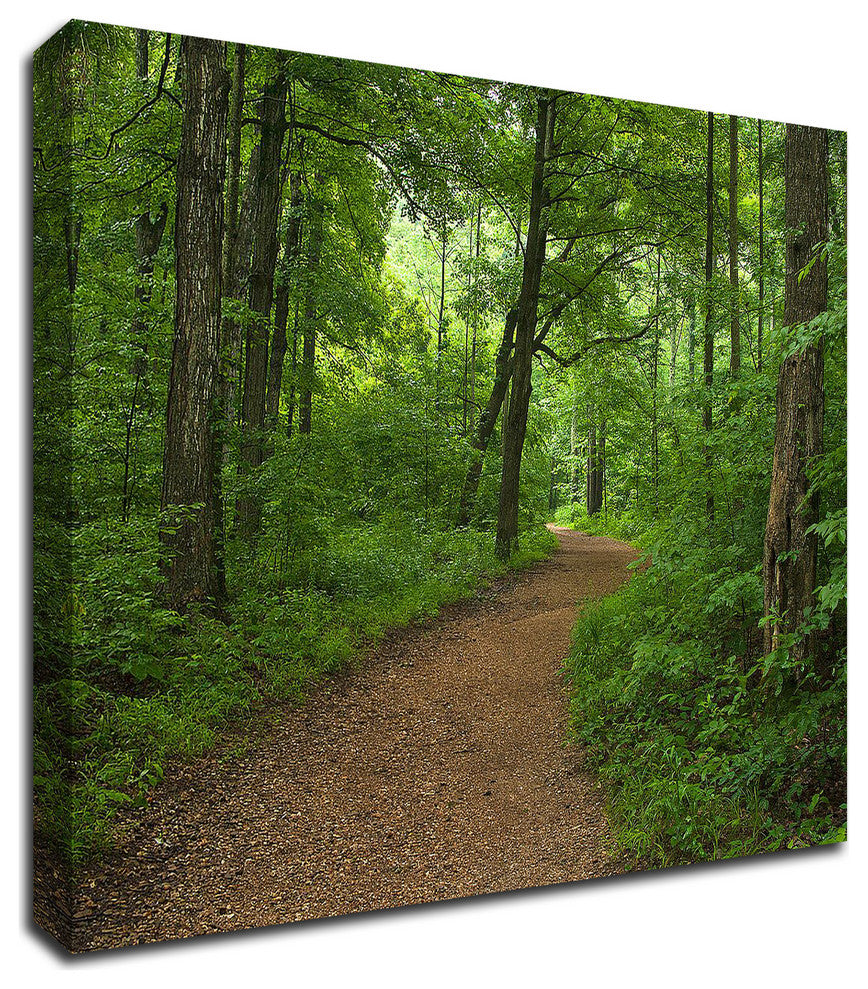 Summer Walk by David Hammond, Print on Canvas, 18"x14"